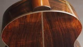 Strahm Brazilian Rosewood Eros Guitar at Guitar Gallery-SOLD