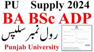 BA BSc ADP Supply 2024 Roll No Slips PU