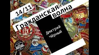 Гражданская Волна / 14.11.24 / Дмитрий Чёрный