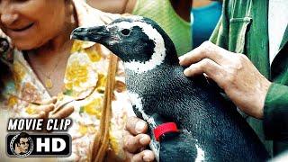 Dindim Is Back Scene | MY PENGUIN FRIEND (2024) Movie CLIP HD