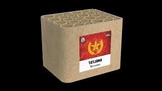 04217 Tatjana - Lesli Fireworks / Feuerwerk - Silvesterzauber - Soviet Shooters