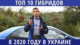Топ 10 гибридов на рынке Украины. Выбираем идеальный авто!