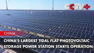 China's Largest Tidal Flat Photovoltaic Storage Power Station Starts Operation