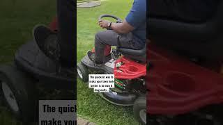 The quickest way to make your lawn look better #shorts #lawncare #weedcontrol #greengrass