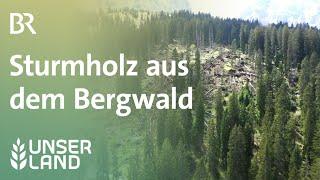 Sturmholz aufarbeiten im Bergwald | Unser Land | BR Fernsehen