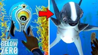 CUDDLEFISH VS TRIVALVE || Subnautica Below Zero DIRECT COMPARISON!