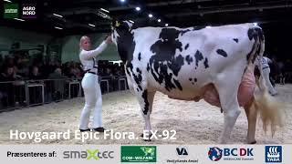 Epic Flora EX92 - Agro Nord Expo 2024