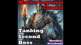 Neverwinter Mod 28 Master Imperial Citadel Second Boss And Achievement Tank PoV