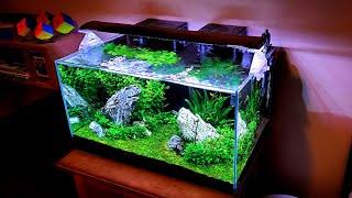 Best Substrate for Planted Aquariums