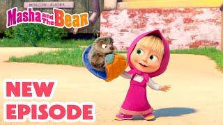 Masha and the Bear 2024  NEW EPISODE!  My Cutie-Patootie   Best cartoon collection