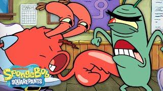 Mr. Krabs & Plankton in Boating School  | "Teacher's Pests" Full Scene | SpongeBob