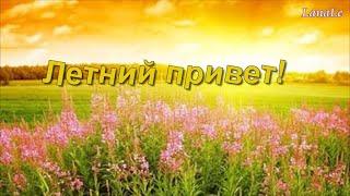 Добрый день!/ Летний привет!/ Лето, ах, лето....