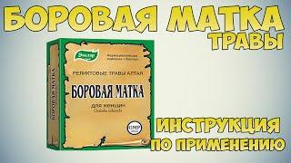 Borovaya uterus grass instruction. How to brew correctly for diseases of the genitourinary system