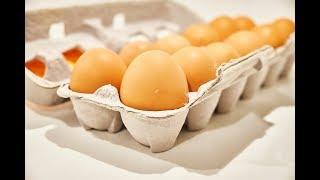 Egg vs Egg: Do Pasture-Raised Eggs Taste Better Than Cage-Free Eggs?