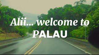 Driving in Palau. Visiting Palau Community College Research Facility. #fieldtrips in #Palau