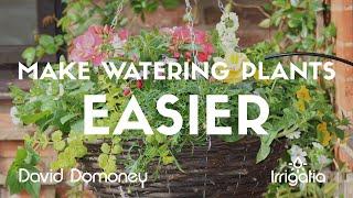 David Domoney: How to water your plants easier