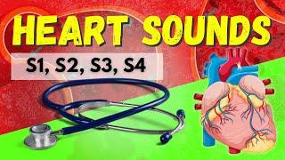 Heart Sounds Made Easy - S1, S2, S3, S4 and Murmurs (Systolic and Diastolic)