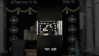 #הליכה #לאיפה הלך הדוד הזה מ"לך דודי"