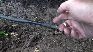 How to Locate Water Leak Drip Irrigation