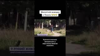 Малолітній живодер у Луцьку