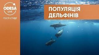 Еколог Олег Рубель: у Чорному морі мешкають три види дельфінів