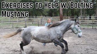 Exercises to Help Bolting Mustang  | Salt Wells Creek 2024