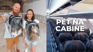 COMO VIAJAR COM PET NO AVIÃO | GUIA COMPLETO