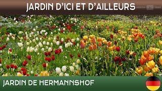 Jardins d'ici et d'ailleurs - Hermannshof - Weinheim - Allemagne 