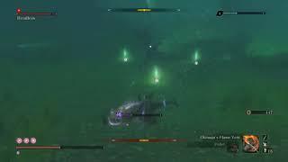 Sekiro Easy Underwater Headless No Confetti