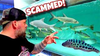 UNBELIVABLE DISCOVERY: Super RARE Fish Found in THAILAND HIDDEN FISH SELLER!