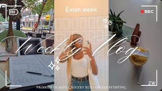 Productive Vlog : Exam week UZ||Grocery run||Café study date||Zimbabwean YouTuber