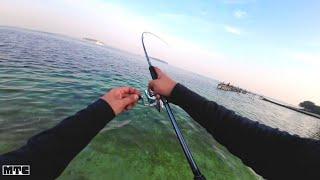 Ganas ! Reel Menjerit Joran Melengkung, Bikin Saya Betah Mancing Di Sini