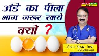 अंडे का पीला भाग जरूर खाये क्यों ? || ARE EGG YOLKS BAD FOR YOU