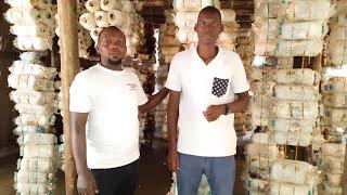 From a Mushroom Farm Casual worker to Owning a Successful Mushroom Farm