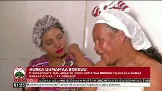 #Hurka uumamaa Bokkuu