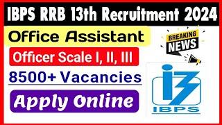 IBPS RRB 13th Recruitment 2024: Office Assistant | ibps RRB Notification 2024 | IBPS Vacancy 2024
