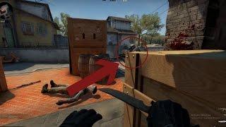 WHAT HAPPENS NEXT??!! Counter Strike GO BOT TO PRO EP:2!!