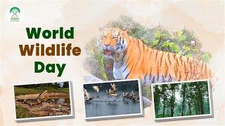 Bihar's Wildlife Wonders: A Journey Through Beautiful Wildlife Reserves & Stunning Bird Sanctuaries!