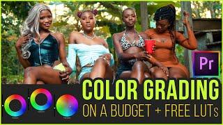 COLOR GRADING ON A BUDGET MADE EASY + FREE LUT - ADOBE PREMIERE PRO