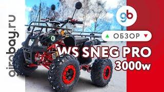 WHITE SIBERIA SNEG PRO 3000W - среднеразмерный электроквадроцикл с запредельной мощностью