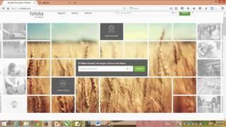 How to upload vector in fotolia dan hasilkan dollar setiap harinya