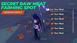 Secret Raw Meat Farming Spot - Genshin Impact