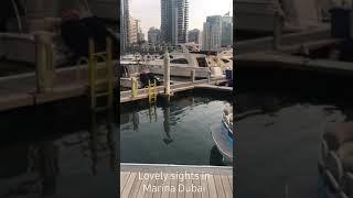 My Fun place | A must see in Dubai #marinadubai #marinawalk #Chychy