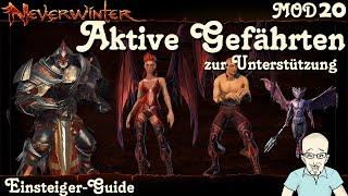 NEVERWINTER: Aktive Gefährten zur Unterstützung -Heilung-Schadensdebuff-damagebuff-Guide PS4 deutsch