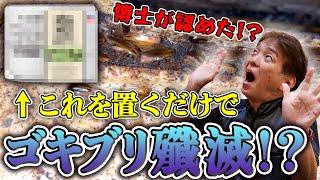 【ゴキブリ駆除】家庭用ゴキブリ対策の新商品が出ました！【クロゴキブリ】【飲食店】【クリーンライフ】