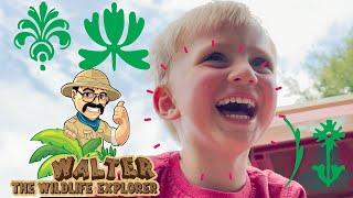 Walter Finds a Guitar and Sings the ABC Song | Educational Nature Videos for Toddlers and Kids