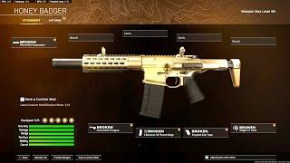 the *NEW* HONEY BADGER Meta in WARZONE!  [Modern Warfare 2]