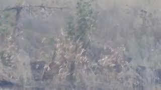 #Снайпер #ДНР снял на видео точный выстрел в украинского военного