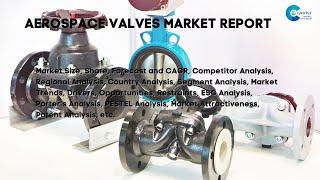 Aerospace Valves Market Report 2024