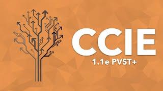 CCIE Topic: 1.1e PVST+